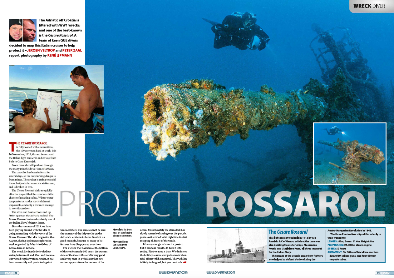 Afbeelding Divernet Article